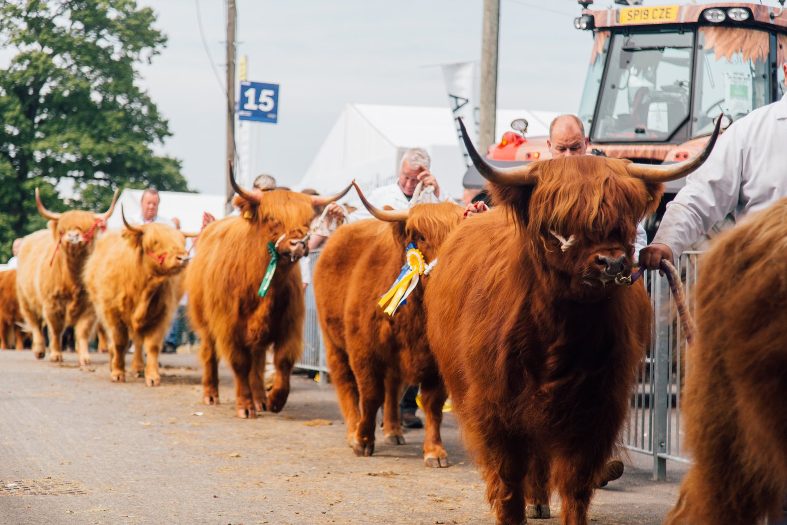 Royal Highland Show Jun 18–21 2026